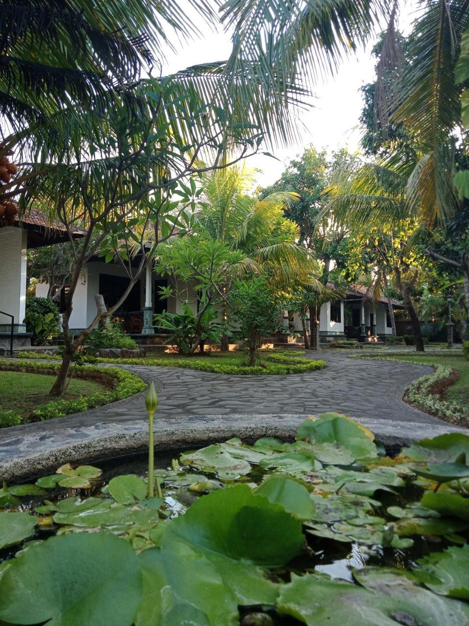 Rini Hotel Ловіна Екстер'єр фото